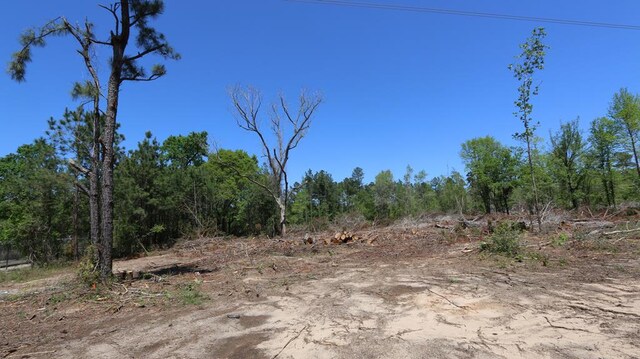 8262 County Road 1052, Wiergate, TX 75977 - photo 8
