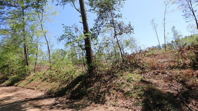 8262 County Road 1052, Wiergate, TX 75977 - photo 7