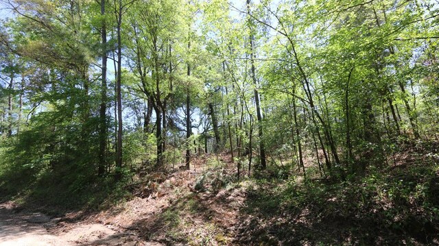 8262 County Road 1052, Wiergate, TX 75977 - photo 1