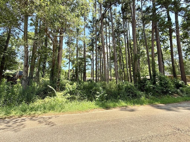 151 Lakeside Dr, Hemphill, TX 75948 - photo 4
