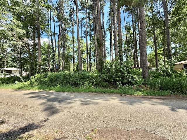 151 Lakeside Dr, Hemphill, TX 75948 - photo 2