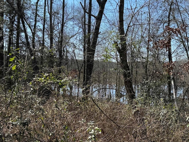 0103 Old Fm 705, Broaddus, TX 75979 - water view