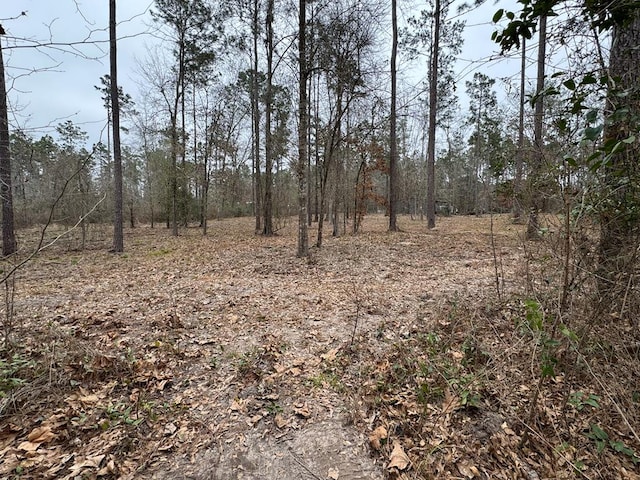 0103 Old Fm 705, Broaddus, TX 75979 - view of woods