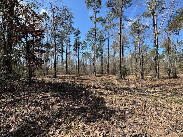 0103 Old Fm 705, Broaddus, TX 75979 - view of wooded area