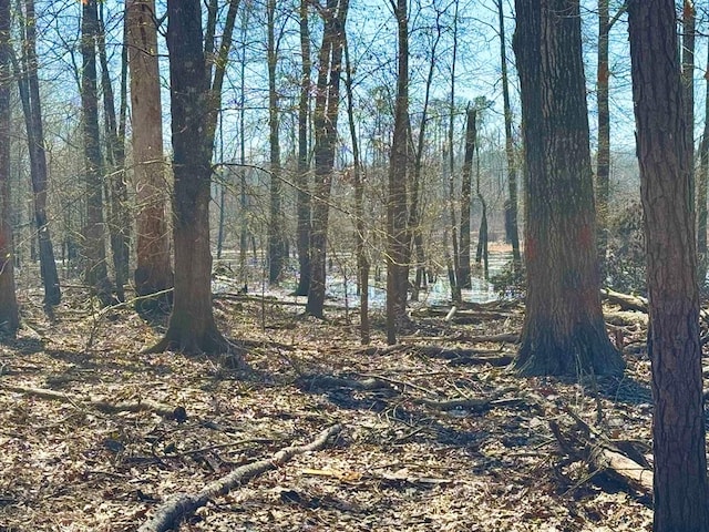 0103 Old Fm 705, Broaddus, TX 75979 - view of local wilderness