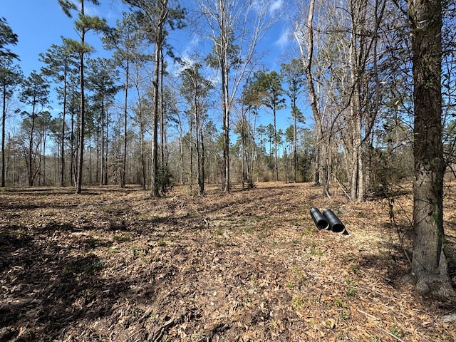 0103 Old Fm 705, Broaddus, TX 75979 - view of tree filled area