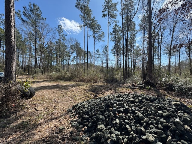 0103 Old Fm 705, Broaddus, TX 75979 - view of wooded area