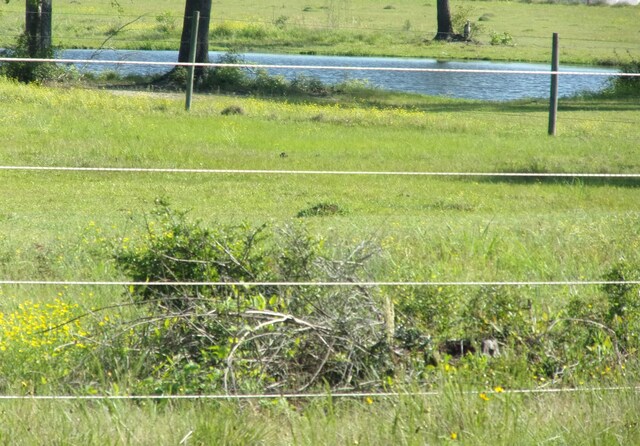 2119 Fairdale Rd, Hemphill, TX 75948