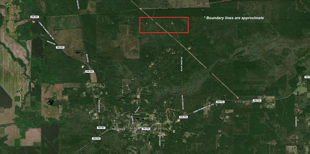 A-449 None, Saratoga, TX 77585 - photo 1