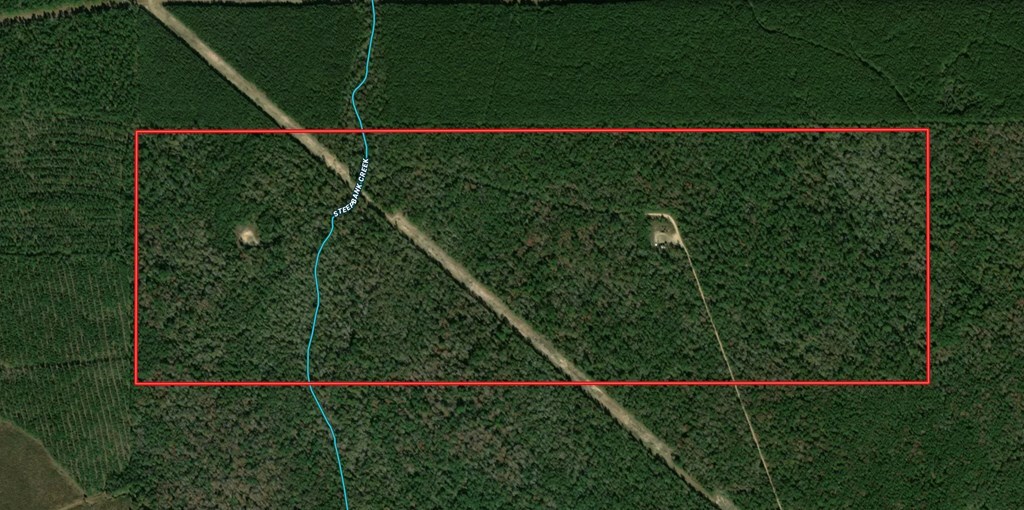 A-449 None, Saratoga, TX 77585 - photo 2
