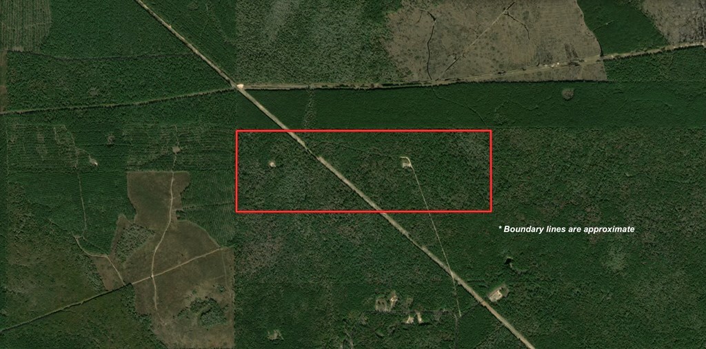 A-449 None, Saratoga, TX 77585 - photo 3