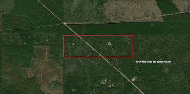 A-449 None, Saratoga, TX 77585 - photo 3