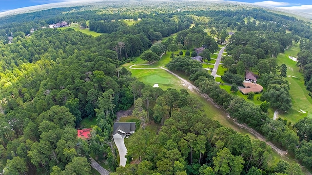 155 Sweetbriar Ct, Brookeland, TX 75931 - bird's eye view of a forest and a golf course