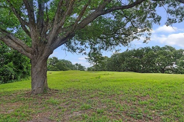 155 Sweetbriar Ct, Brookeland, TX 75931 - view of green lawn
