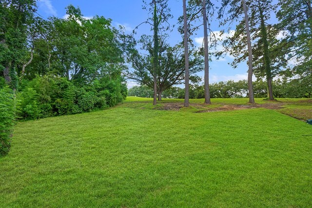 155 Sweetbriar Ct, Brookeland, TX 75931 - view of green lawn