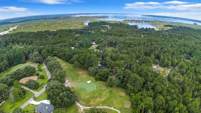 155 Sweetbriar Ct, Brookeland, TX 75931 - view of property location with a heavily wooded area and a large body of water