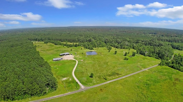 737 Martin Cochran Rd, Huntington, TX 75949 - aerial view of a forest and a large body of water