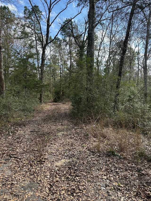 317 Connie Ln, Lufkin TX, 75904 land for sale