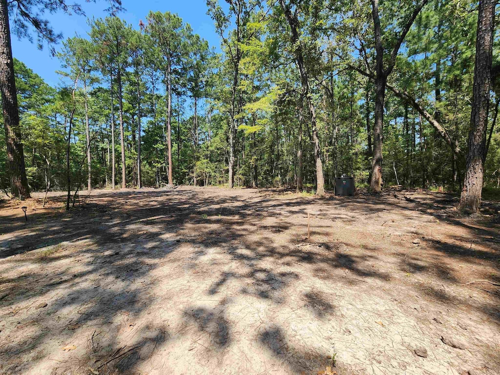 415 Deergrass Dr, Brookeland, TX 75931
