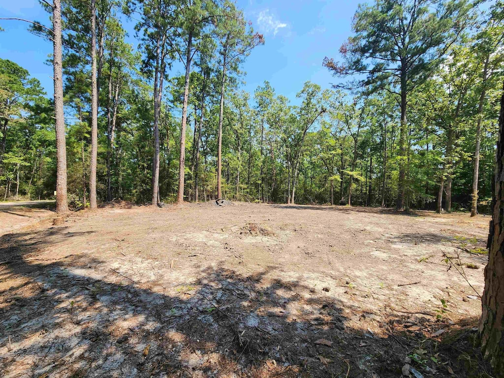415 Deergrass Dr, Brookeland, TX 75931