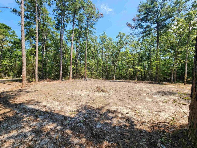 415 Deergrass Dr, Brookeland, TX 75931