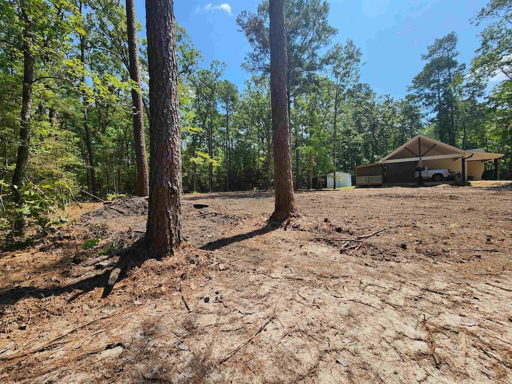 415 Deergrass Dr, Brookeland, TX 75931