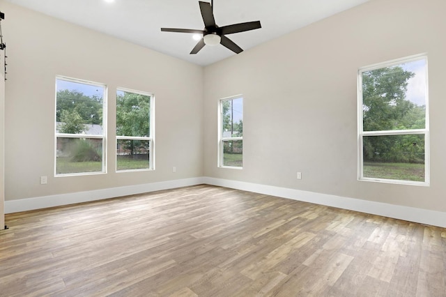 unfurnished room with a wealth of natural light, light hardwood / wood-style flooring, and ceiling fan