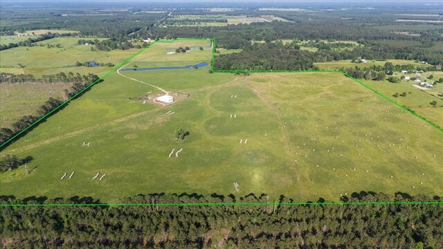 4096 Fm 1004 W, Kirbyville, TX 75956 - photo 7