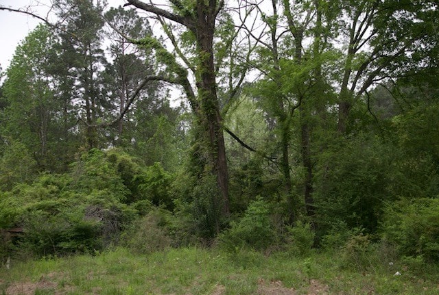 190 Hearne Rd, Corrigan, TX 75939 - view of tree filled area