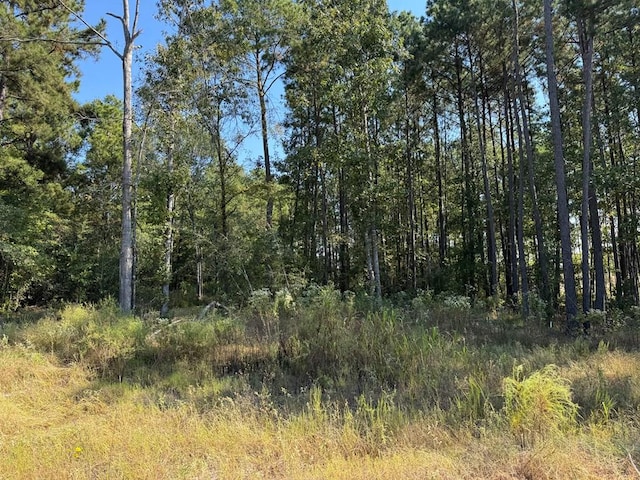 125 Yaupon Ct, Lufkin TX, 75904 land for sale