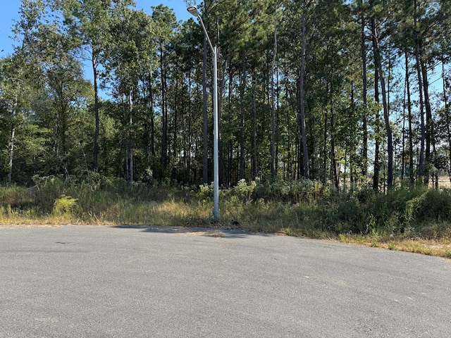 125 Yaupon Ct, Lufkin, TX 75904 - photo 4