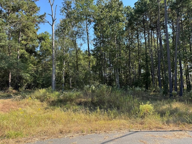 125 Yaupon Ct, Lufkin, TX 75904 - photo 2