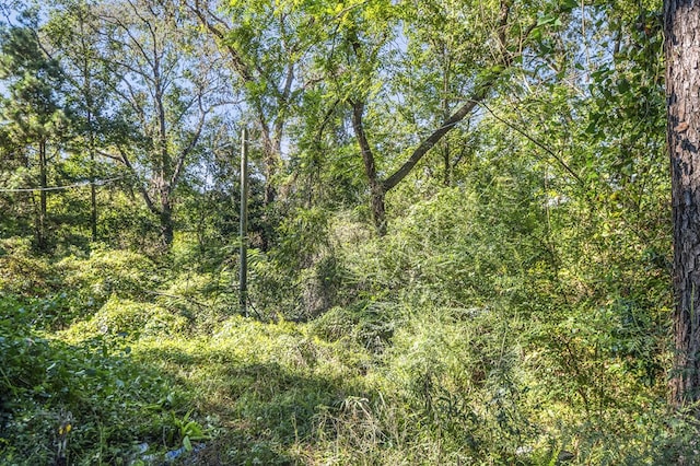 50 Brenda, Brookeland, TX 75931