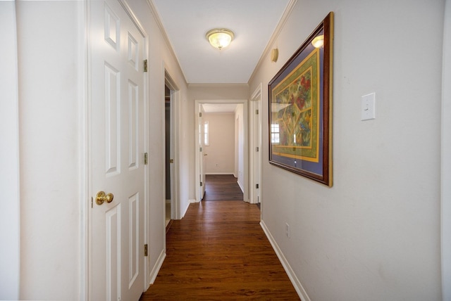3712 Ashbury Ln, Nacogdoches, TX 75965 - hallway with wood finished floors, baseboards, and ornamental molding