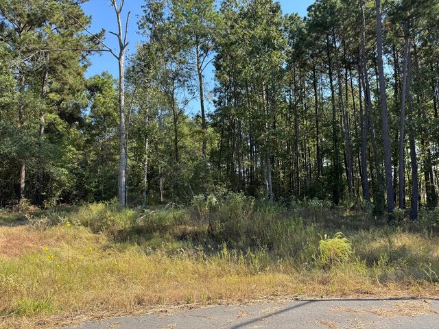 129 Yaupon Ct, Lufkin TX, 75904 land for sale