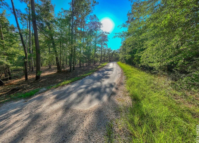 0361302-2X Landsend Dr, Brookeland, TX 75931 - photo 6