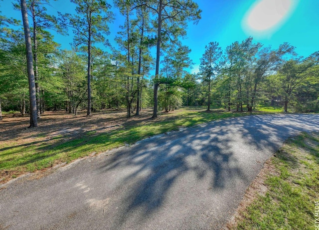 0361302-2X Landsend Dr, Brookeland, TX 75931 - photo 10