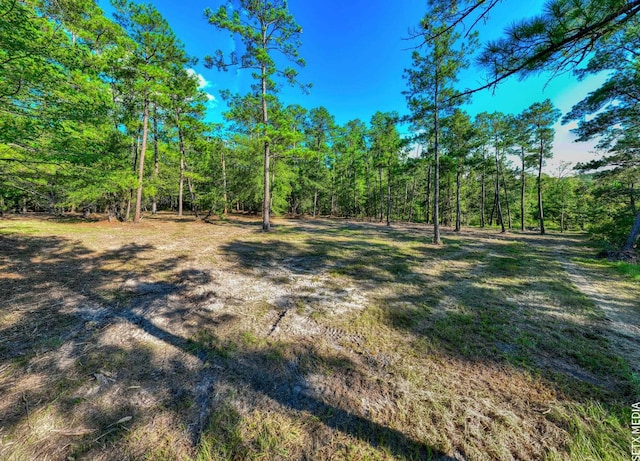 0361302-2X Landsend Dr, Brookeland, TX 75931 - photo 13