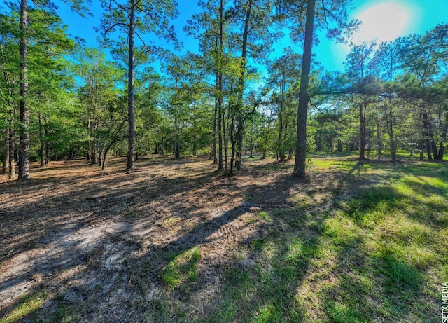 0361302-2X Landsend Dr, Brookeland, TX 75931 - photo 1
