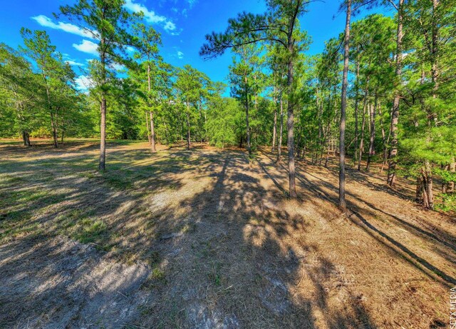 0361302-2X Landsend Dr, Brookeland, TX 75931 - photo 4