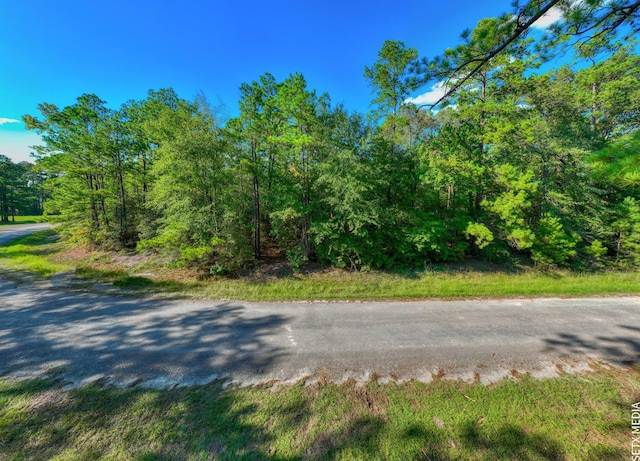 0361302-2X Landsend Dr, Brookeland, TX 75931 - photo 9