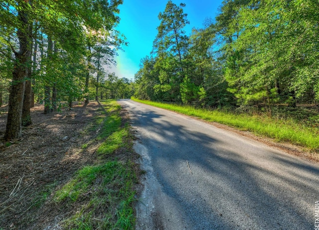 0361302-2X Landsend Dr, Brookeland, TX 75931 - photo 5