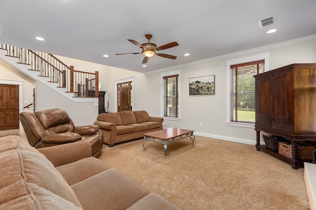 carpeted living room with ceiling fan and crown molding