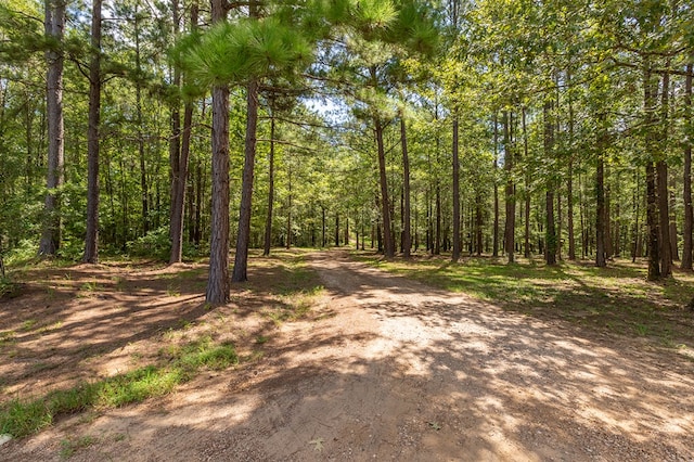 view of local wilderness