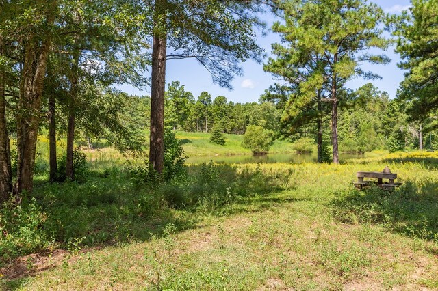 view of landscape