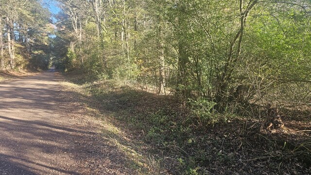 4500BLK Fm 225 N, Douglass, TX 75943 - photo 8