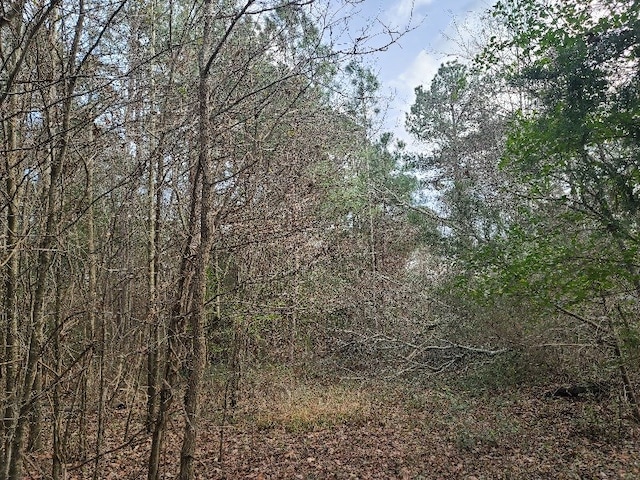 4500BLK Fm 225 N, Douglass, TX 75943 - photo 6
