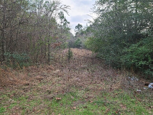 4500BLK Fm 225 N, Douglass, TX 75943 - photo 5