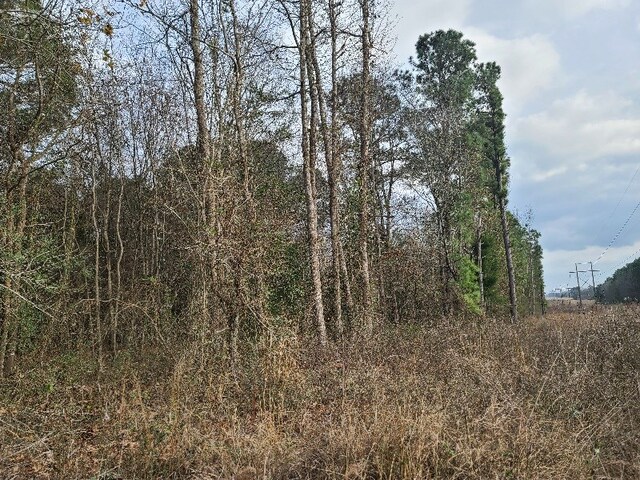 4500BLK Fm 225 N, Douglass, TX 75943 - photo 3