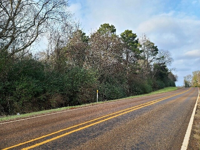 4500BLK Fm 225 N, Douglass, TX 75943 - photo 2